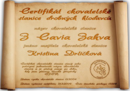 certifikát