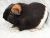 Yvanne z Cavia Zahva