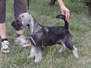 Coca Cola z Romoru, 3 months  old