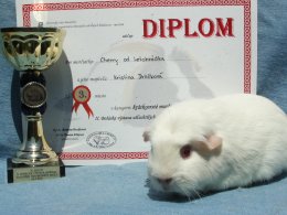 Cherry od Letohrádku Z Cavia Zahva